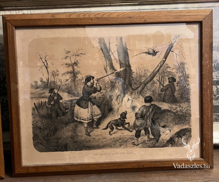 Fácánvadászat - La Chasse Aux Faisans