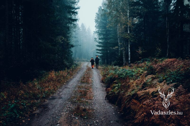 Vadászati lehetőség teszt