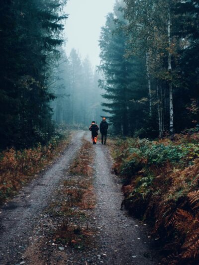 Vadászat, Vadkár, Szállás